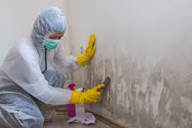 Best Environmental Consulting for Mold Prevention  in Winthrop, MN